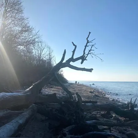 Elme Und Horst - Elmenhorst Gasthuis