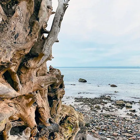 Elme Und Horst - Elmenhorst Gasthuis Kalkhorst