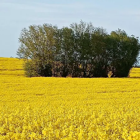 Gasthuis Elme Und Horst - Elmenhorst 3*