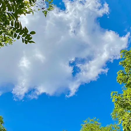 Elme Und Horst - Elmenhorst